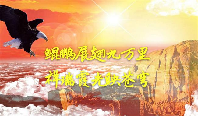 HiԊ(sh)鮋